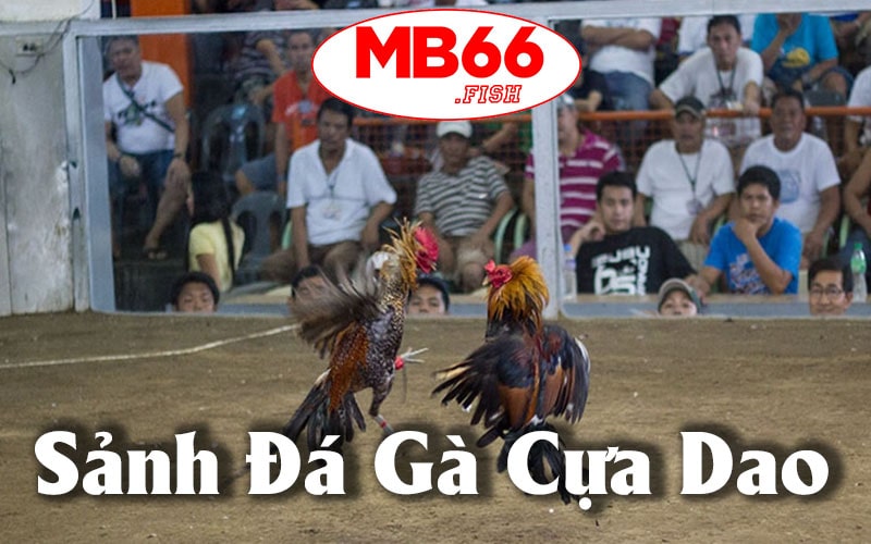 Cách Tham Gia Đá Gà Cựa Dao Mb66