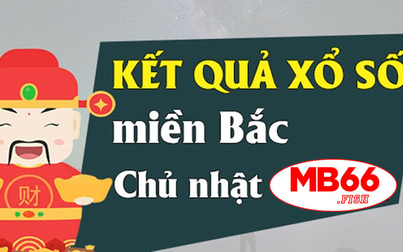 Cập nhật kết quả xổ số chính xác